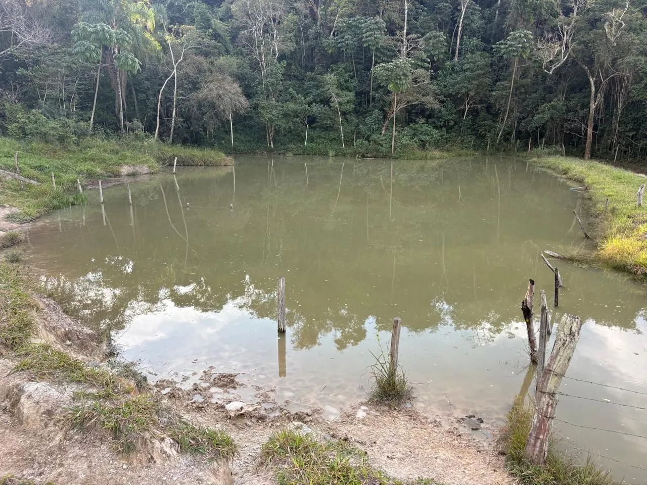 FAZENDA 20HC EM RIO MANSO.
