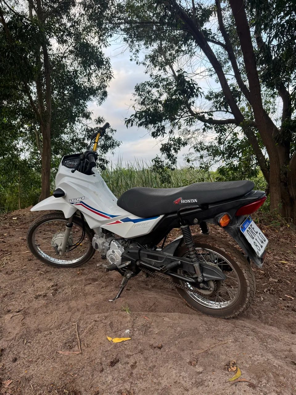 POP 110