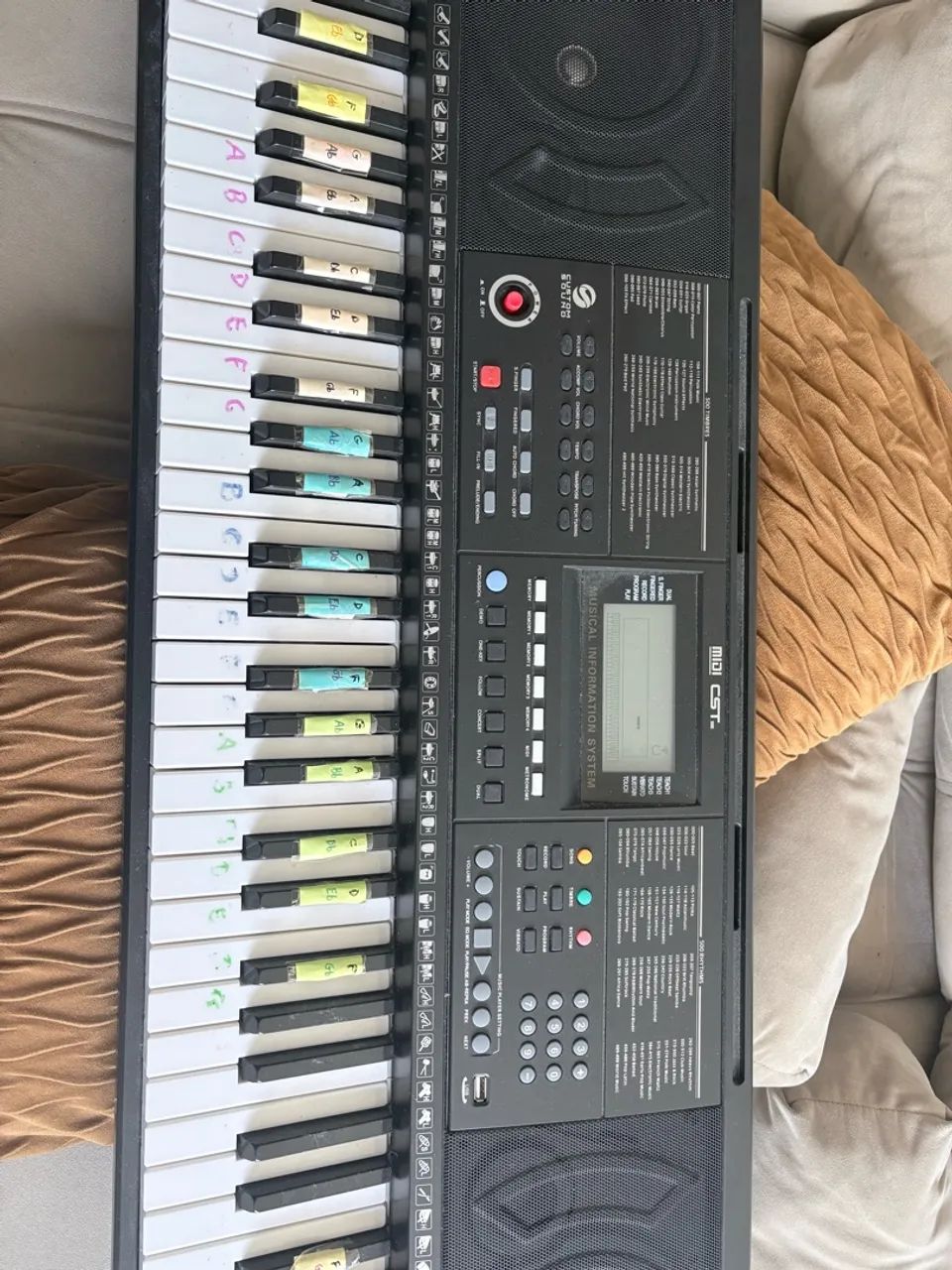 TECLADO MIDI CST300 