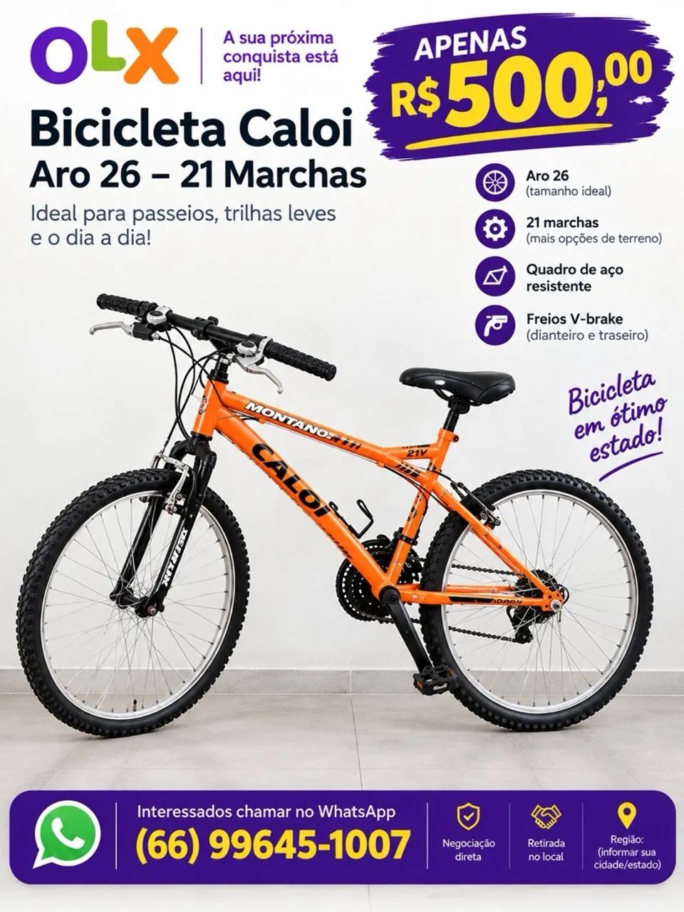 Bicicleta 