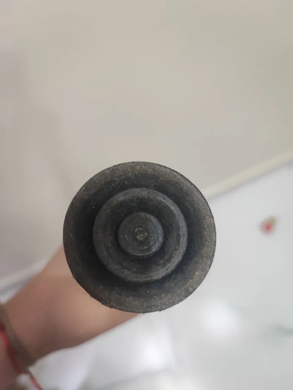 Muleta canadense  - Foto 4