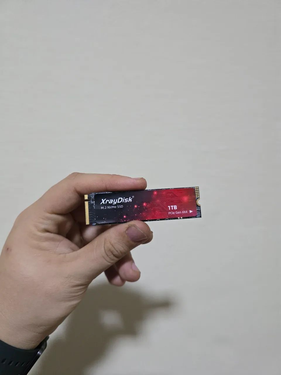 SSD 1TB NVME XrayDisk