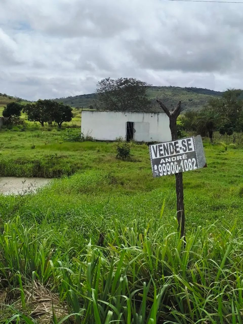 vendo terreno 