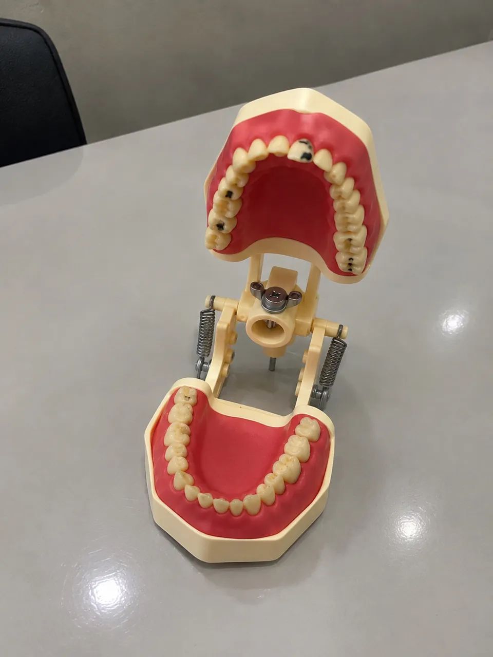 Manequim Odontológico  - Foto 3