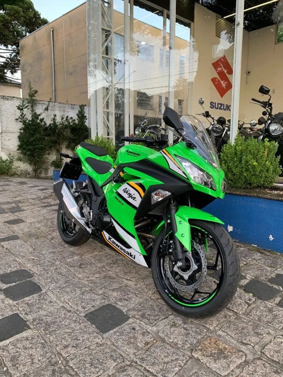 Kawasaki 300 2025 - 1170966271 | OLX