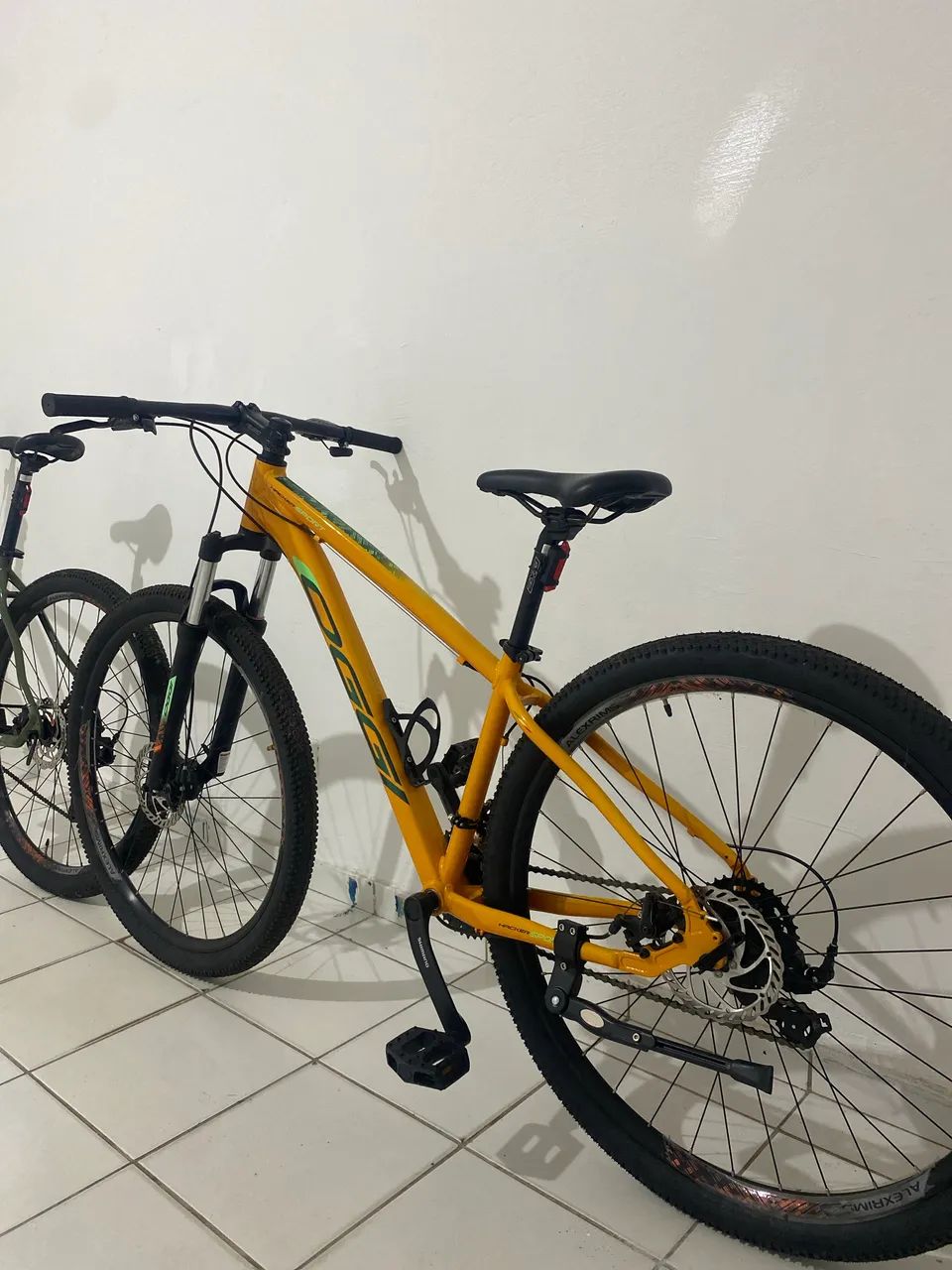 Bicicleta oggi