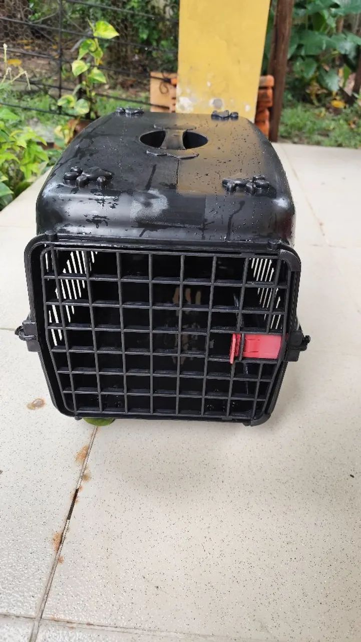 Caixa de transporte n 4 para cães e gatos - Foto 3