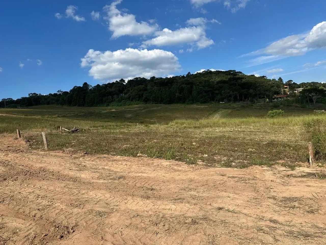 Oportunidade Que Cresce Todo Dia - Foto 2