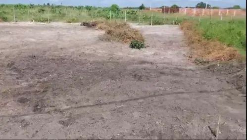 Terreno em Camaçari  - Foto 3