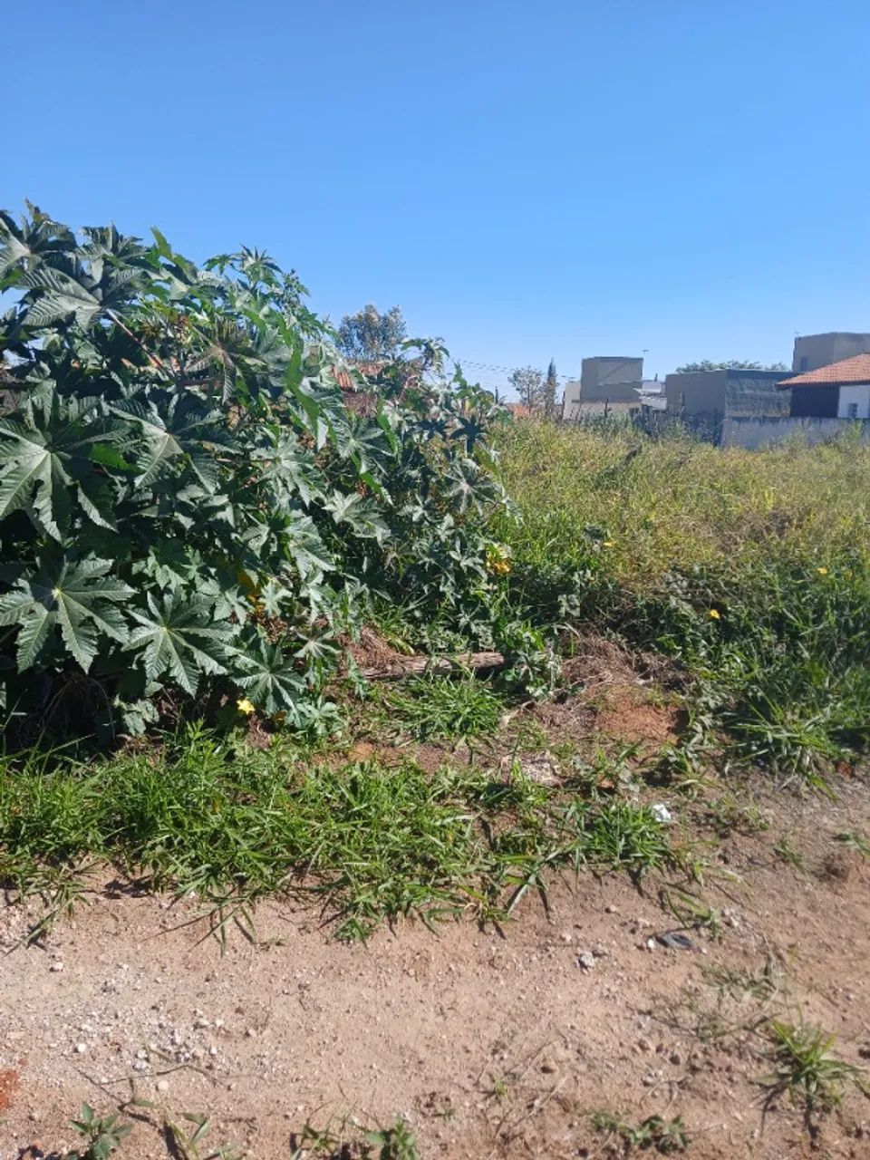 Foto - Araçoiaba da Serra - Jardim Nossa Senhora Salete