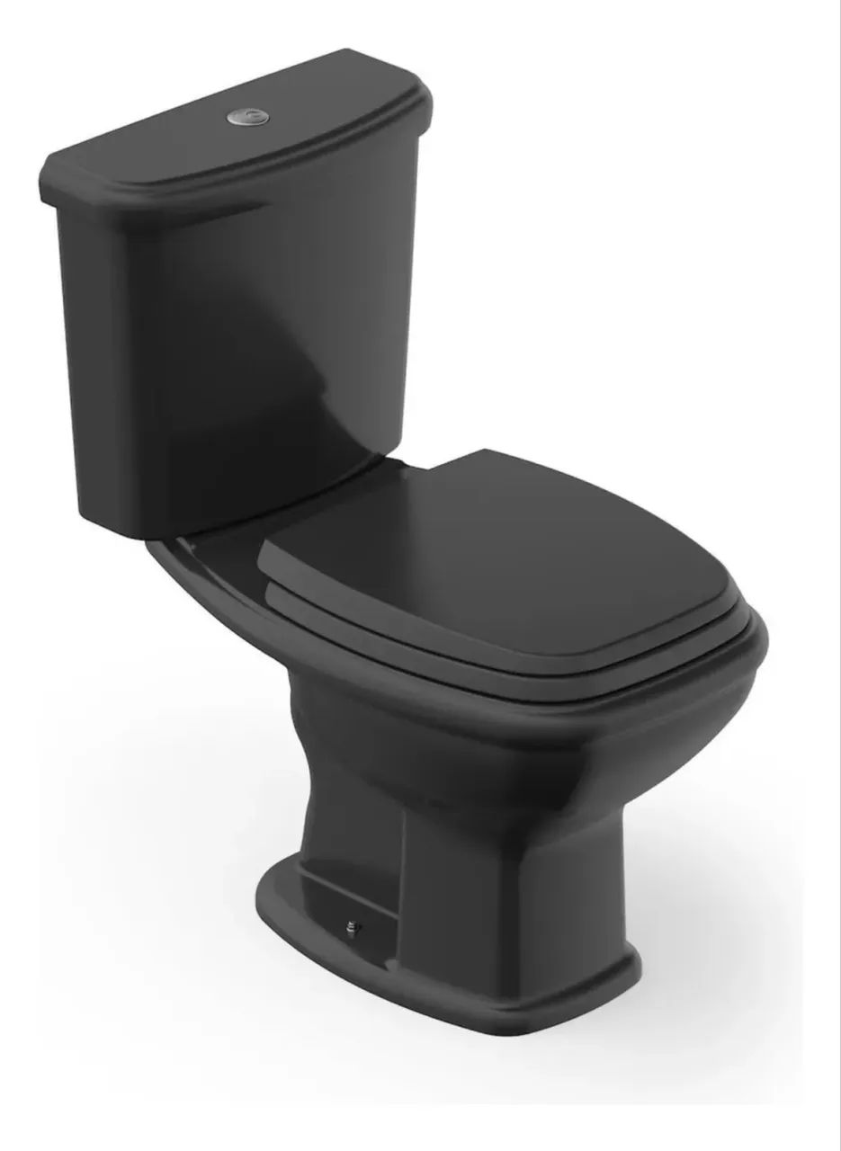 Toilet Bowl