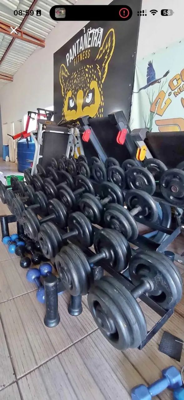 Estante de halteres Dumbels 
