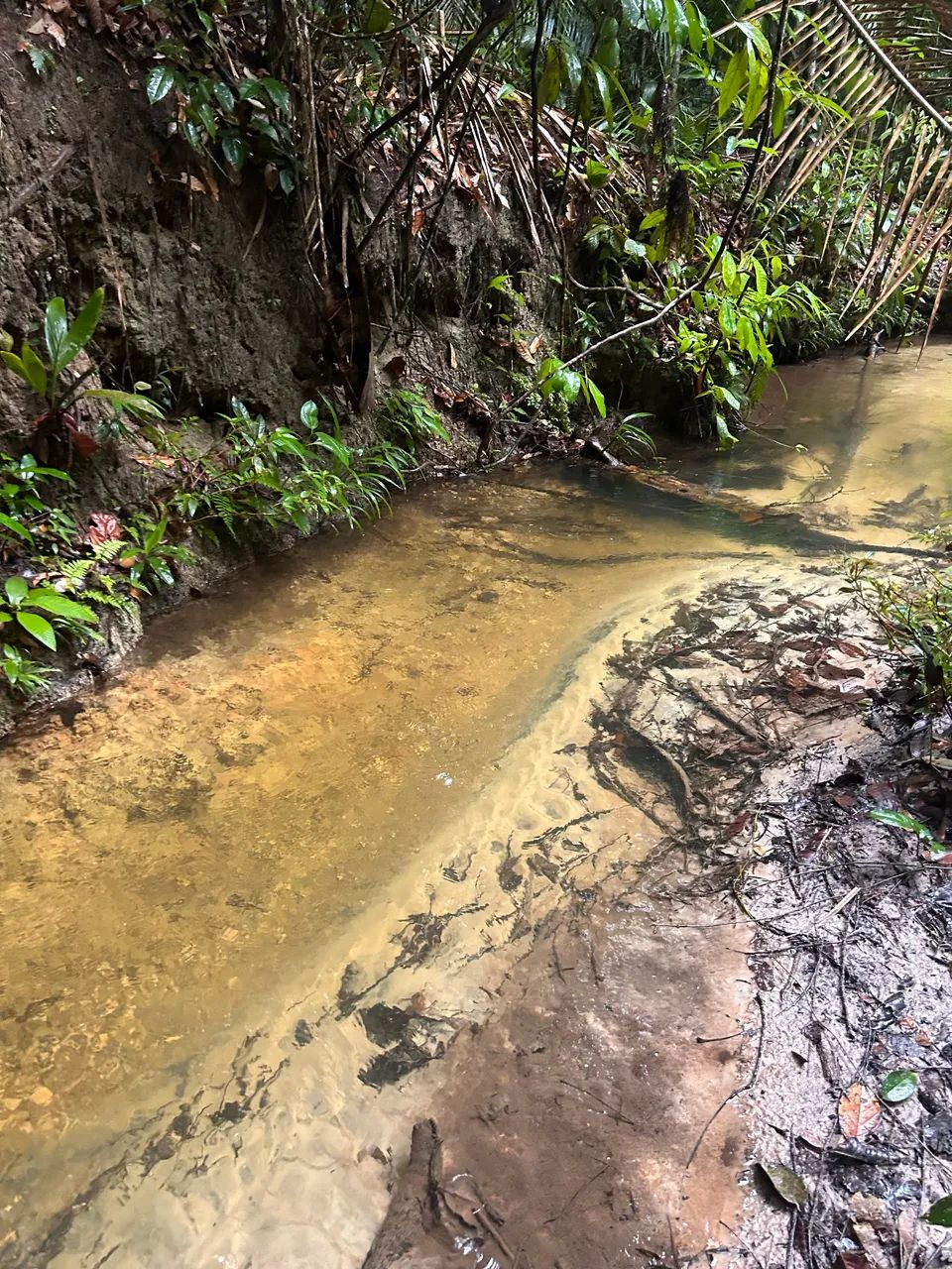 Foto - Rio Preto da Eva - 
