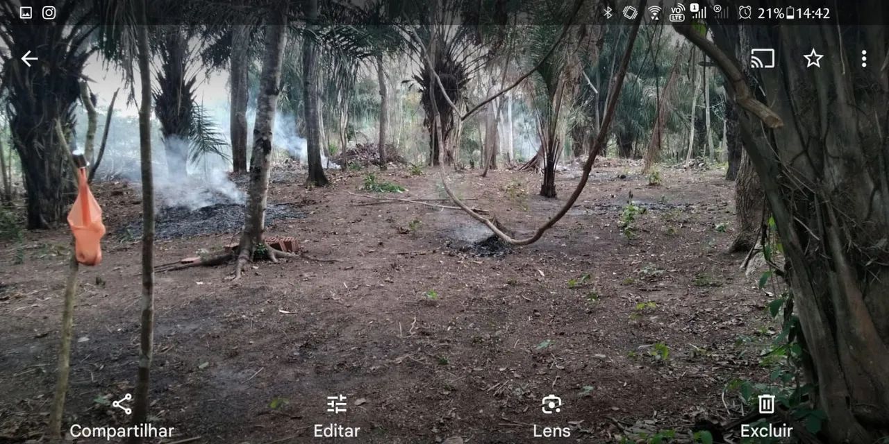 Vendo chácara 30 de frente 100 de fundo - Foto 3