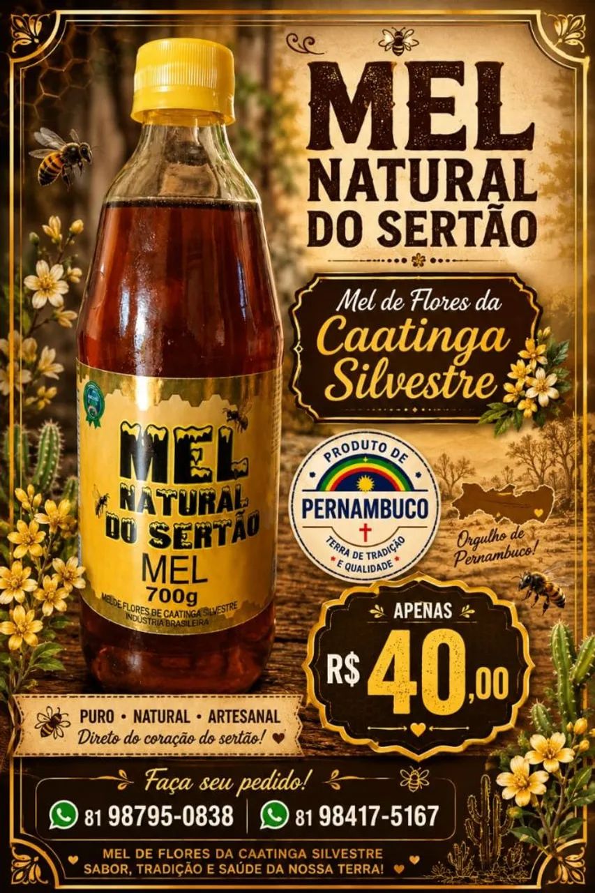 Mel 100% Puro - Extraído Da Caatinga Silvestre