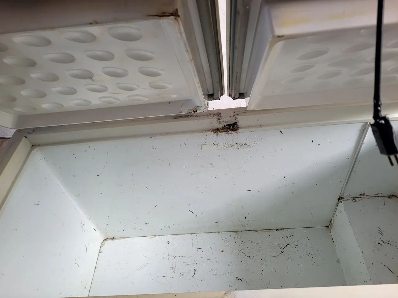 Freezer  - Foto 4