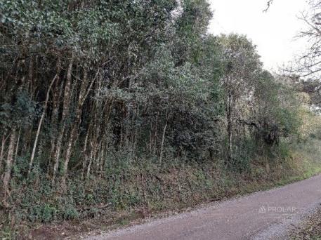 Chácara à venda em Pedras brancas, Sao marcos cod:11375