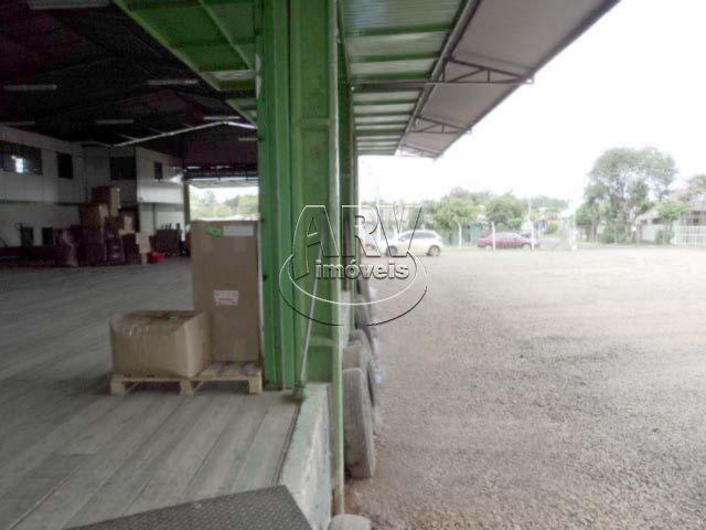 Galpão/depósito/armazém para alugar em Águas mortas, Gravataí cod:1582 - Foto 4