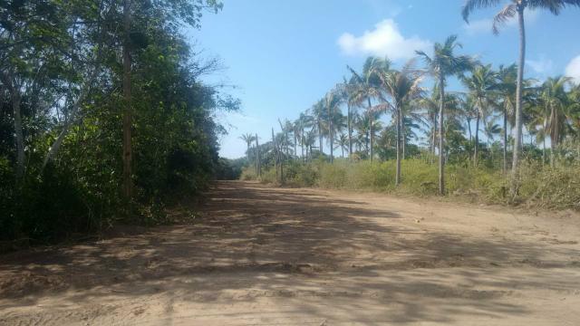 Vendo Área 10,5 ha beira da lagoa