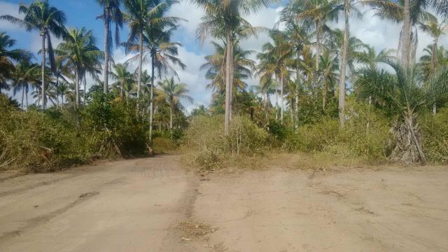 Vendo Área 10,5 ha beira da lagoa - Foto 5
