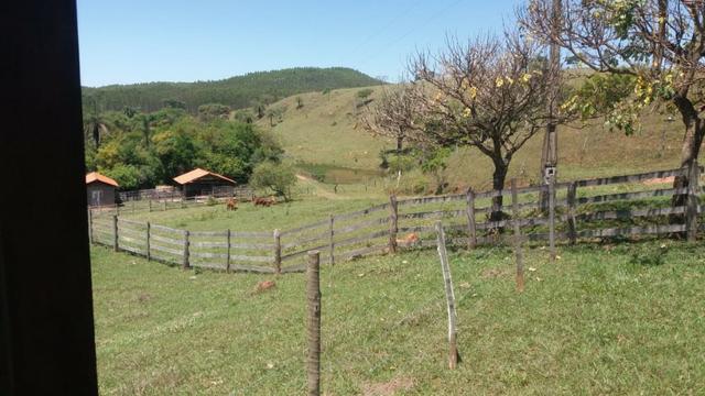 91C/Bela fazendinha de 13 ha em ótimo local e com tudo que a gente quer - Foto 14