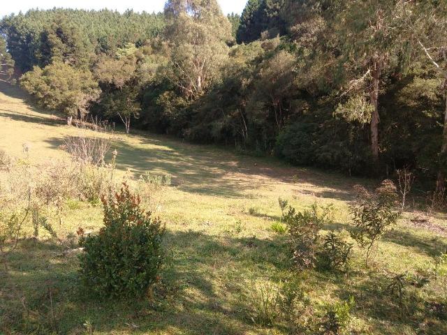 Chácara de 4.300m2 em Bocaiuva do Sul - Foto 8