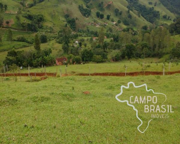 Oportunidade rural! Sítio de 8,5 alqueires todo aproveitável! - Foto 2