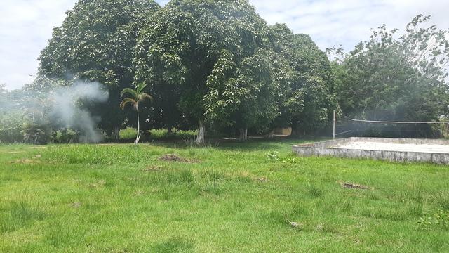 Alugo um sítio amplo em benevides - Foto 14