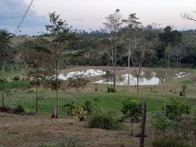 Vendo ou Troco chácara km14 da Transacreana
