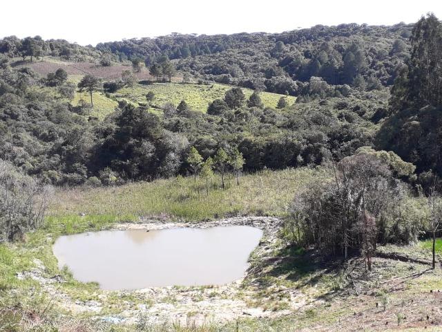 Chácara com 46.792m2 em Bocaiuva do Sul - Estudo Troca em Colombo - Foto 14
