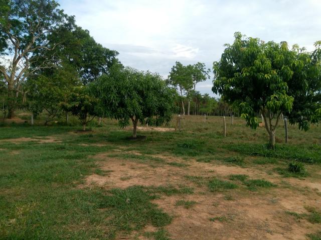 Vende-se uma chácara em Poconé, 50 hectares - Foto 20