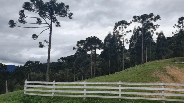 Sitio em Urubici /chácara dentro da cidade/área rural na cidade de Urubici - Foto 4