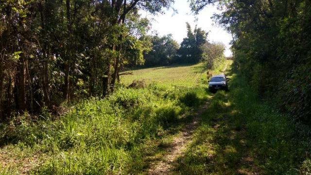 Chácara em Campo Largo Bairro Rondinha - Estrada da Sereia - Foto 10