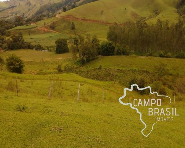 Oportunidade rural! Sítio de 8,5 alqueires todo aproveitável! - Foto 6