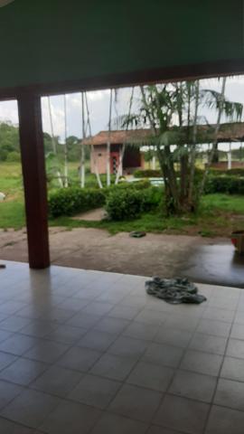 Alugo um sítio amplo em benevides - Foto 15