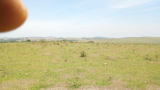 Vendo belíssima fazenda em são vicente 330 alqueires - Foto 13