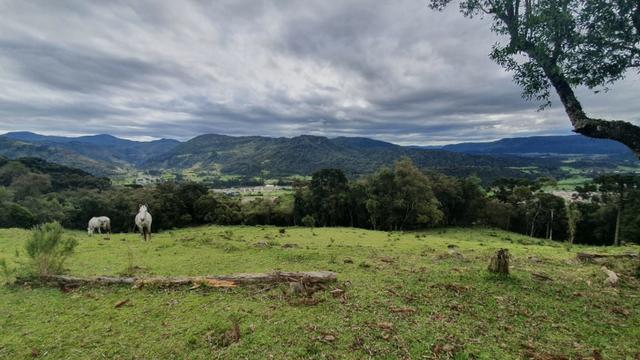 Sitio em Urubici /chácara dentro da cidade/área rural na cidade de Urubici - Foto 7