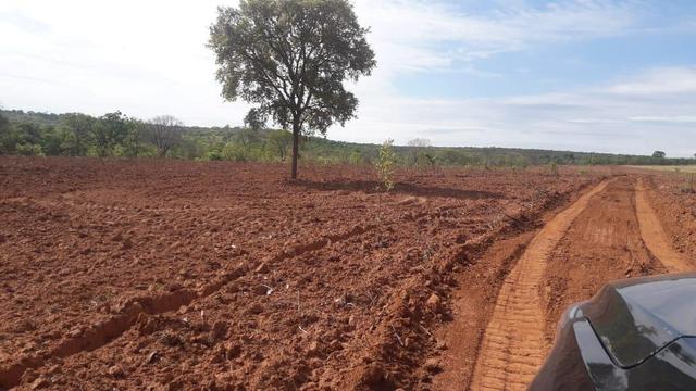 Excelente fazenda dupla aptidão - Foto 11