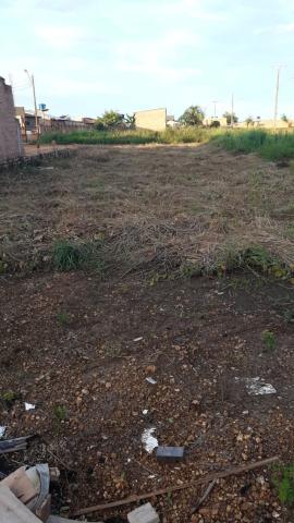 Terreno + 3 milheiro de tijolos - Foto 3