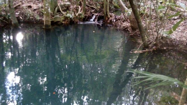 Chácara com área de 4000m², 14 km de Alto Paraíso de Goiás - Foto 4