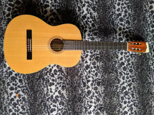 Violão Di Giorgio - Estudante 12