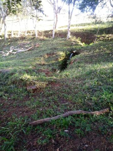 Sítio com 5 hectares, em São Sebastião do Rio Verde! - Foto 7