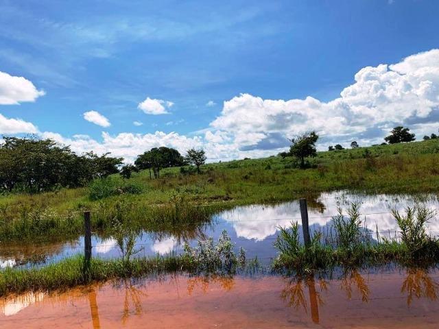 300 Alqs Formada Montada e Estruturada Banhada Por Rio Jussara GO - Foto 6