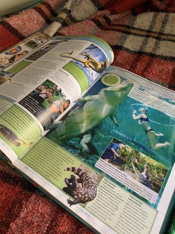 Livro guinness book - Foto 4