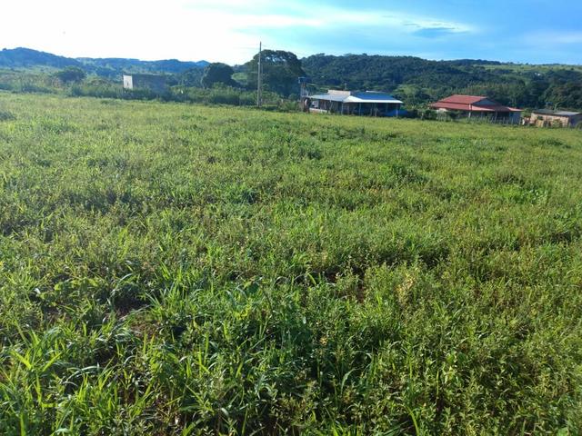 Vendo uma chácara - Foto 5