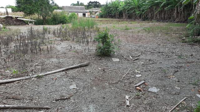 Terreno 2.400m2 - Vila Nova Prudentópólis - Foto 9
