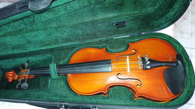 Violino