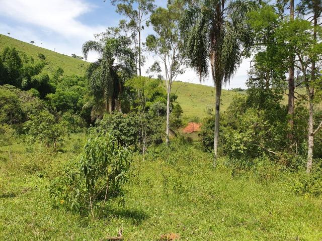 Sítio com 7 Alqueires, estrada do Turvo - Foto 7