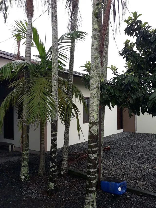 Alugo Casa 