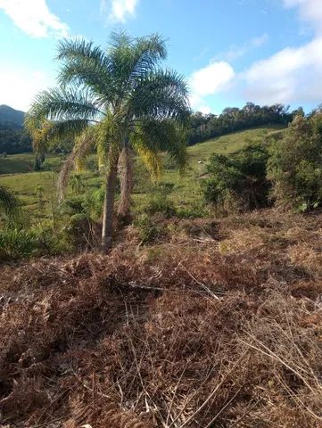 Sítio 3,7 hectares, Pastagem, Roça, 2ª Linha, Divisa de São Pedro com Águas Mornas SC - Foto 15